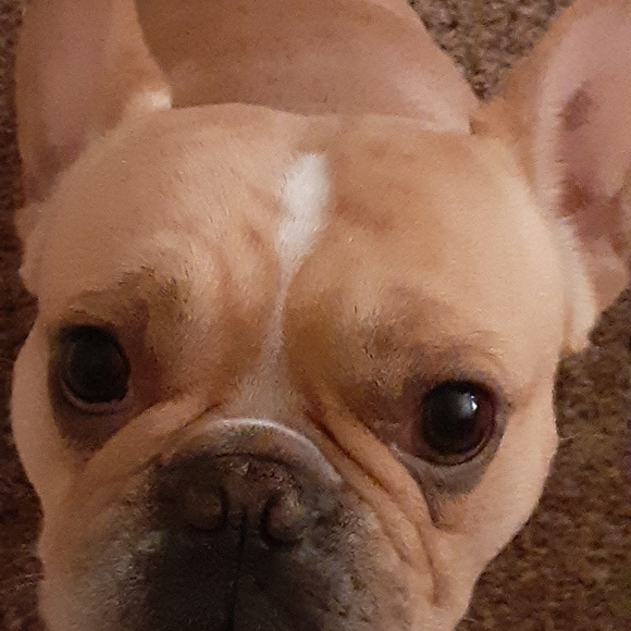 Meet your Posher, El - Picture 2 of 2